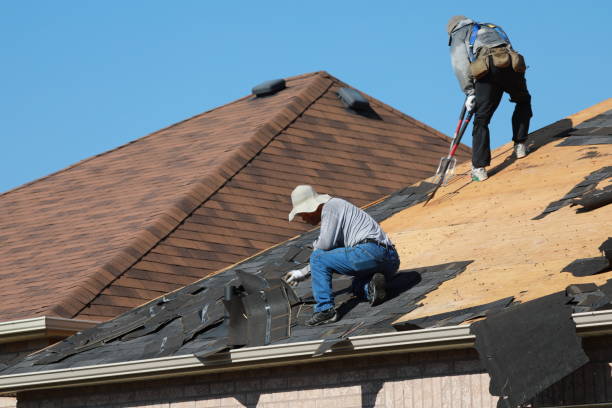 Best Roof Ventilation Installation  in Marble Hill, MO
