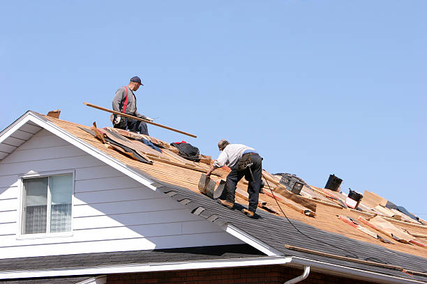 Best Storm Damage Roof Repair  in Marble Hill, MO